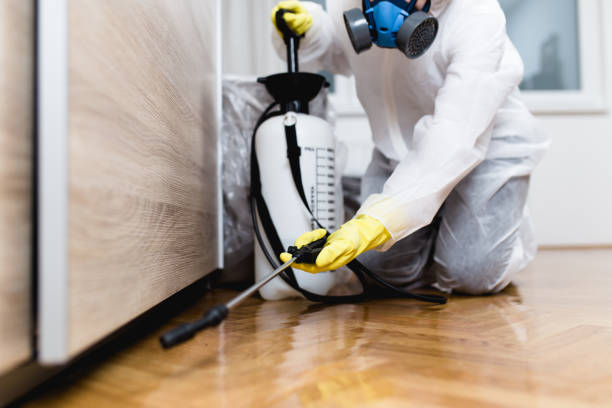Best Affordable Pest Control Services  in Pontiac, IL