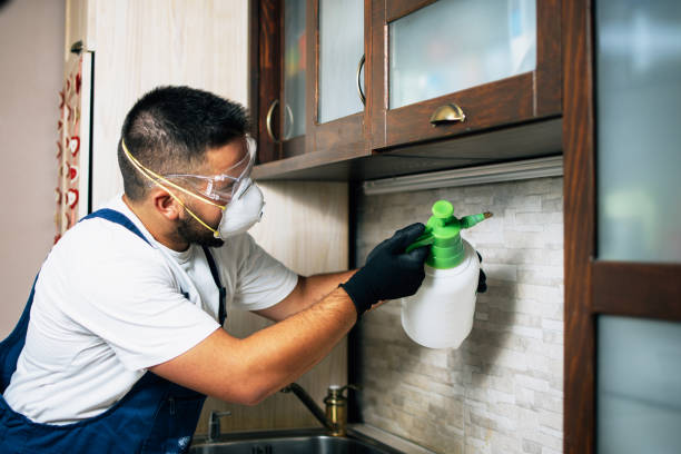 Best Cockroach Control Services  in Pontiac, IL