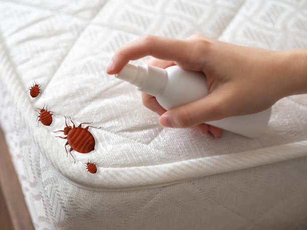 Best Termite Control Services  in Pontiac, IL