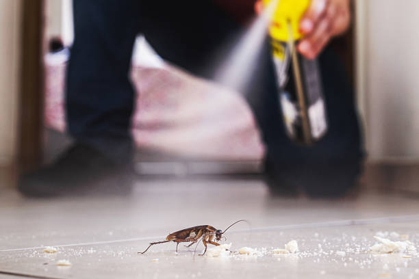 Reliable Pontiac, IL Pest Control Solutions