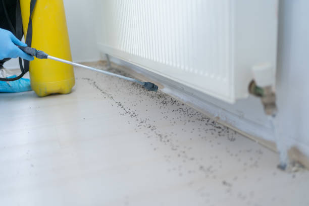 Best Best Pest Control Companies  in Pontiac, IL